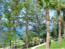 DSCN0551 - �����.JPG