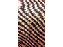 20150325_011316.jpg