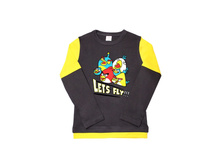 D1041/03  ��������� ������� "Angry Birds1" (������)   ����: 220 ������