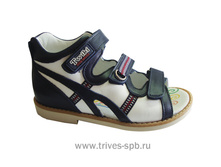 ��������� � �������� ������ TW-113, ���� ����-�����.jpg