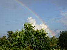 DSC01310.JPG