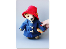 ����� ���������� - �������