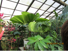 ���� 201.jpg