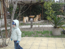 � ����� �������� ��� � �������� :0)