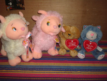 DSC06803.JPG
