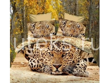 ��������� ���������� ���� (�������������) - ������ 3�