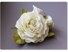 ���� � �������� - �������