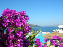 DSCN0541 - �����.JPG