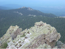 ���� 130.jpg