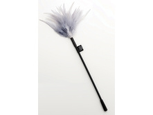 ���� � ������� "Feather Tickler"