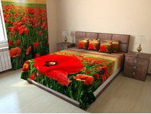 ���� ����.jpg