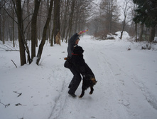 DSC02636.JPG