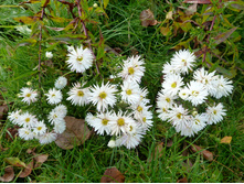 P1170206.JPG
