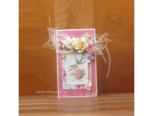 �������-���������