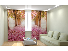 ��������� ��������� �����.jpg