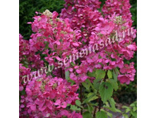 ��������� ����������� ������� ���.jpg