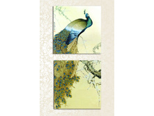 �3090 100�50, 50�50-2.jpg