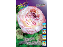 ���������� (�����) ������ �������.jpg