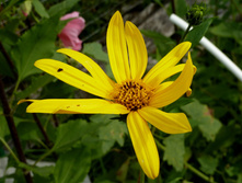P1150973.JPG