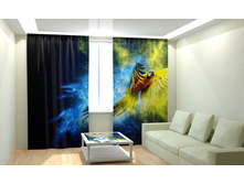 �������� �������.jpg