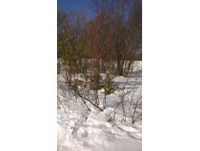 �������� 036.jpg