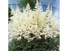 ���������*