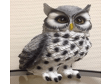 ������ ����� ����� 21214  ����  750 ���, ����� 25 ��, ������   26 �� , ������  34,5 ��