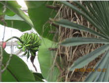 ��� ��� - �������� � ������� ��!