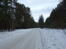06.JPG