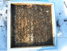 ������ 2 ����.JPG