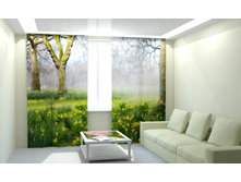 ��������� �������� � ����.jpg