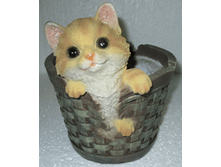 ����� ������� � ��������  220 ���.