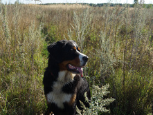 DSC01251.JPG