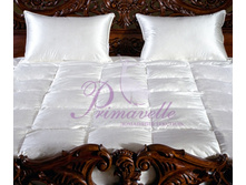 ������ Silvia