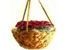 ����� ��������-��������� 666126   ����  250 ���. �����  20�� , ������  20 ��, ������ 12 ��, ������  �