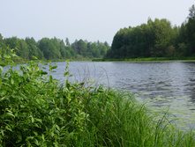 DSC01222.JPG