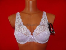 ���� �������