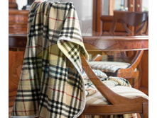 ���� �������