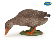 51154 ������� ���� 100 � 9������ ���� 188 �).jpg