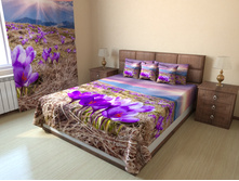 ������� �����.jpg