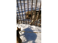 �������� 042.jpg