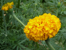 P1150076.JPG
