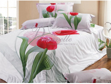 ������ ������.jpg