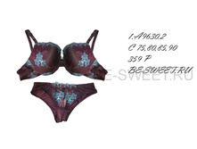 1-a9630-2-jpg, ���� 449���.jpg