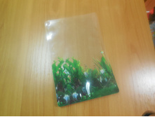 �������� ����