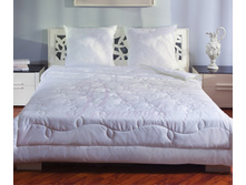 ������ Fito Aloe Vera