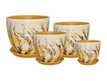 ������ ����� ����� ����� (08) 1�.  84 ���. , �.12 ��,  �. 12��,  �. 13 ��