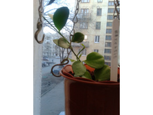 2015-03-26 18.20.55.jpg