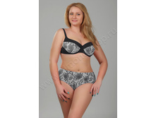 24-27 31195 ��������� ������.jpg