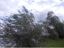DSCN0021.JPG
